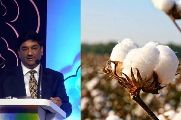 indian cotton export