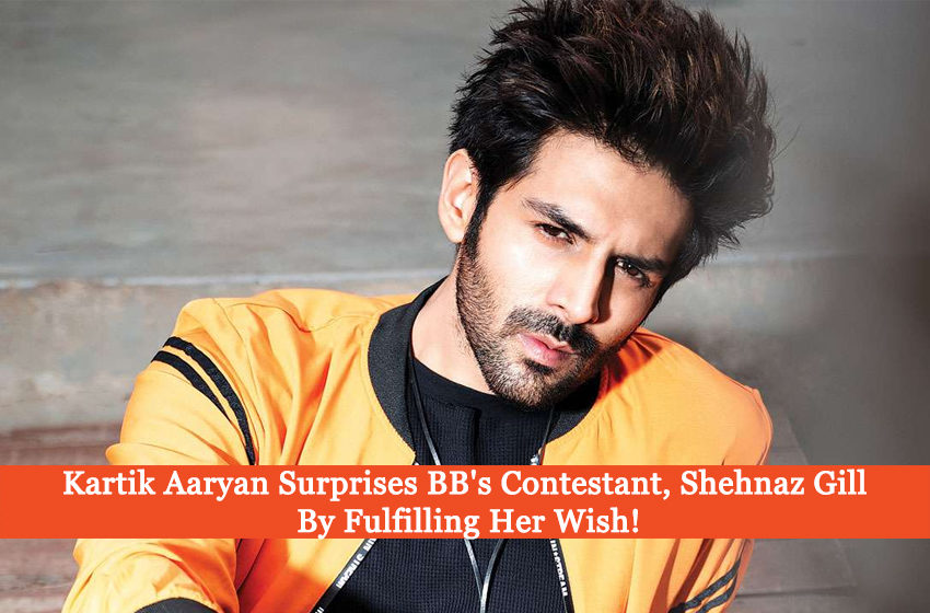  Kartik Aaryan Shares His Portrait Made By Bigg Boss 13’s Shehnaz Gill!