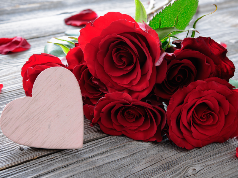 valentine week list rose day
