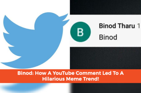 Binod: How A YouTube Comment Led To A Hilarious Meme Trend!