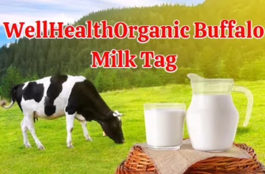  Understanding Why Choose Wellhealthorganic Buffalo Milk Tag?