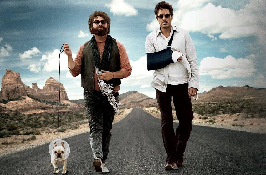  10 Hilarious Movies Like Due Date You Must Watch