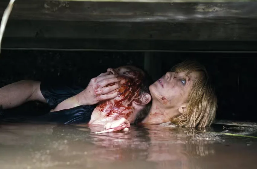  10 Best Movies Like Eden Lake for Fans of Dark Survival Horror Films