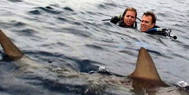 Open Water